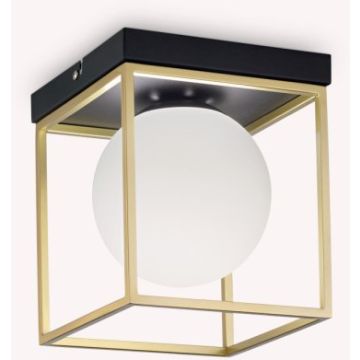 Ideal Lux LINGOTTO 198132 Plafondlamp 1x28W/E14 ip20