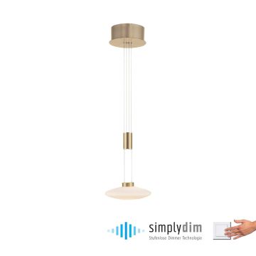Paul Neuhaus LAUTADA 2080-60 Hanglamp 1x7,5W/LED 3000K 600LM IP20