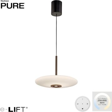 Paul Neuhaus PURE E-Vitrum 2084-34 Hanglamp 1x26W/LED 2700-5700k 1900lm ip20