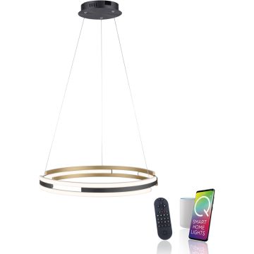 Paul Neuhaus Q-BELUGA 2051-60 Hanglamp 1x62W/LED 2700-5000k 6900lm ip20