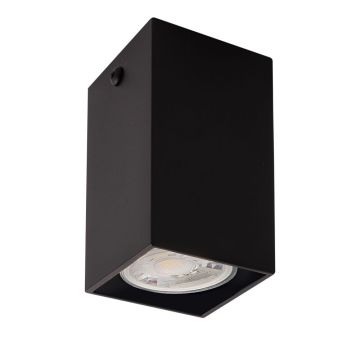 Antigo Doha 1095 Opbouwspot 1x10W/GU10 IP20