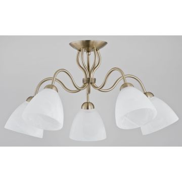 Alfa ARIEL 22615 Plafondlamp 5x60W/E27 IP20