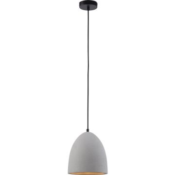 Paul Neuhaus ETON 2231-22 Hanglamp 1x40W/E27 ip20