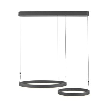 Paul Neuhaus ESKO 2360-18 Hanglamp 2x41W/LED 2700K-5000K 1900lm IP20