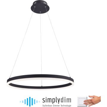 Paul Neuhaus TITUS 2382-13 Hanglamp 1x44W/LED ip20