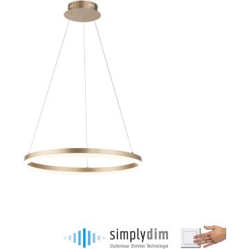Paul Neuhaus TITUS 2382-60 Hanglamp 1x44W/LED 3000k 5250lm ip20