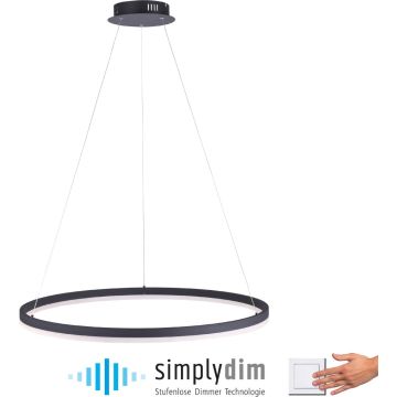 Paul Neuhaus TITUS 2383-13 Hanglamp 1x61W/LED ip20