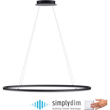 Paul Neuhaus TITUS 2393-13 Hanglamp 1x57,5W/LED 3000k 2700lm ip20