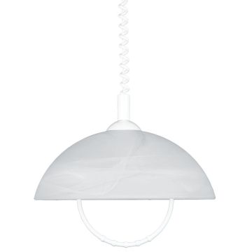 Prezent ALBERT 23068 Hanglamp 1x60W/E27 IP20