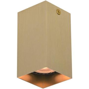 Italux Ander CLN-28394-S-GD Opbouwspot 1x10W/GU10 IP20
