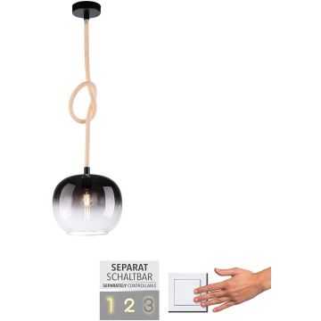 Paul Neuhaus LUMA 2410-18 Hanglamp 1x53W/E27 3000k 640lm