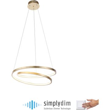 Paul Neuhaus ROMAN 2472-12 Hanglamp 1x32W/LED 3000k 4000lm ip20