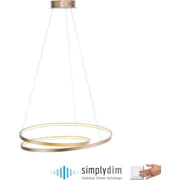 Paul Neuhaus ROMAN 2474-12 Hanglamp 1x46W/LED 3000k 5100lm ip20