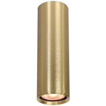 Italux Lopus CLN-48930-M-GD Opbouwspot 1x10W/GU10 IP20