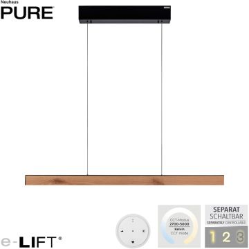 Paul Neuhaus PURE E-MOTION 2570-79 Hanglamp 2x45W/LED 2700-5000k 4350lm ip20