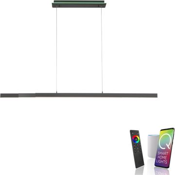 Paul Neuhaus Q-ARIAN 2569-13 Hanglamp 4x55W/LED 2700-5000k 5520lm ip20