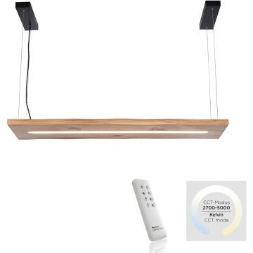 Paul Neuhaus PALMA 2625-79 Hanglamp 1x27W/LED 2700-5000k 2750lm ip20