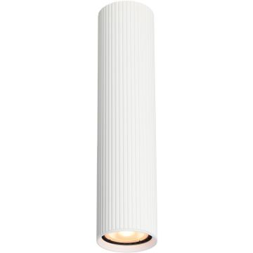 Italux Rilok CLN-83920-L-WH Opbouwspot 1x10W/GU10 IP20