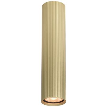 Italux Rilok CLN-83920-L-GD Opbouwspot 1x10W/GU10 IP20