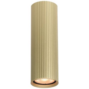 Italux Rilok CLN-83920-M-GD Opbouwspot 1x10W/GU10 IP20