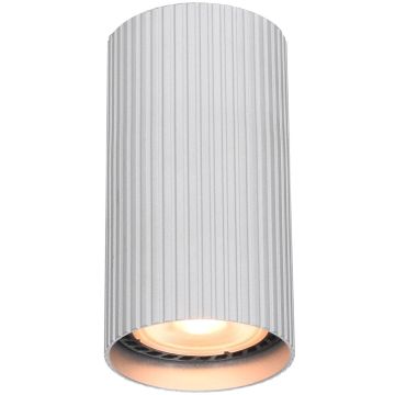 Italux Rilok CLN-83920-S-ALU Opbouwspot 1x10W/GU10 IP20