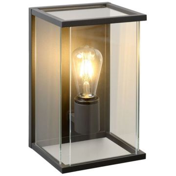 Lucide CLAIRE 27883/01/30 Wandlamp 1x60w/e27 ip54