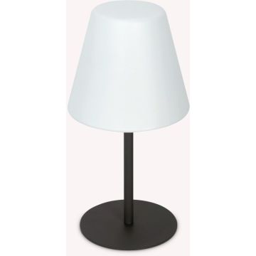 Ideal Lux ARCADIA 298597 Tafellamp 1x42W/E27 ip44