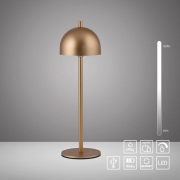 Paul Neuhaus BELLIS 19244-12 Tafellamp 1x2,5W/LED 3000k 210lm ip54