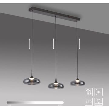 Paul Neuhaus POSH 15693-15 Hanglamp 3x6,3W/LED 3000k 1000lm ip20