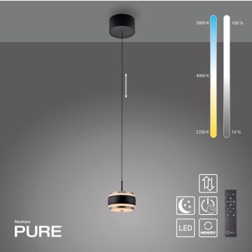 Paul Neuhaus PURE FALLING RINGS 2503-18 Hanglamp 1x8W/LED 2200-5000k 310lm ip20