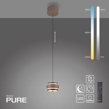 Paul Neuhaus PURE FALLING RINGS 2503-97 Hanglamp 1x8W/LED 2200-5000k 310lm ip20