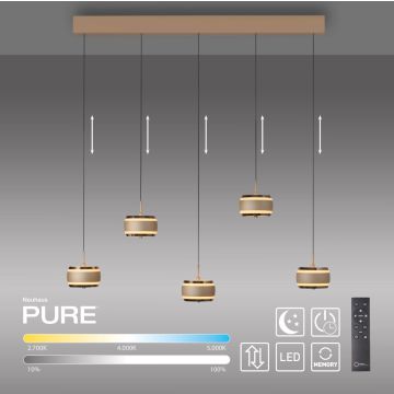 Paul Neuhaus PURE FALLING RINGS 2504-97 Hanglamp 5x8W/LED 2200-5000k 1500lm ip20