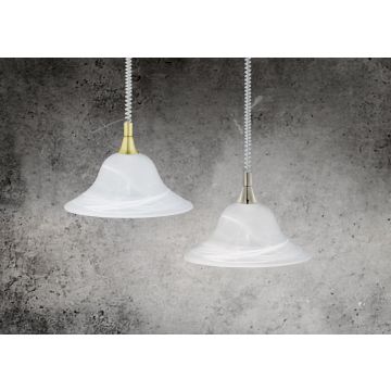 Trio VIOLA 301700107 Hanglamp 1x60w/e27 ip20