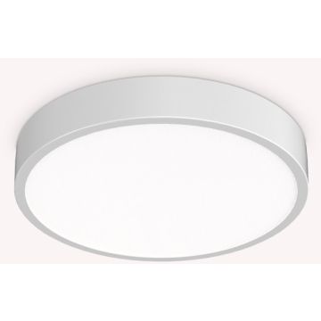 Ideal Lux RAY 318264 Plafondlamp 1x26W/LED ip44