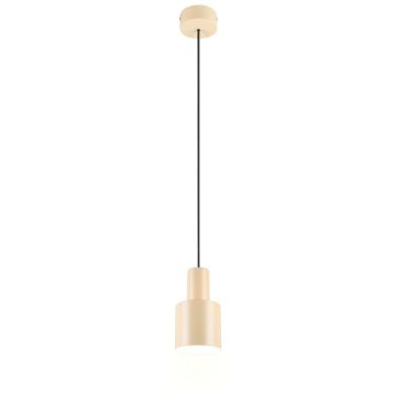 Trio AGUDO 319400144 Hanglamp 1x10w/e27 ip20