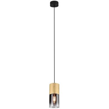 Trio ROBIN 310600154 Hanglamp 1x28w/e27 ip20