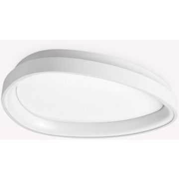 Ideal Lux GEMINI 328010 Plafondlamp 1x24W/LED 3000K ip20