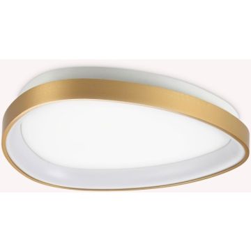 Ideal Lux GEMINI 328034 Plafondlamp 1x24W/LED 3000K ip20