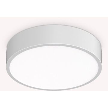 Ideal Lux RAY 327570 Plafondlamp 1x13W/LED ip44