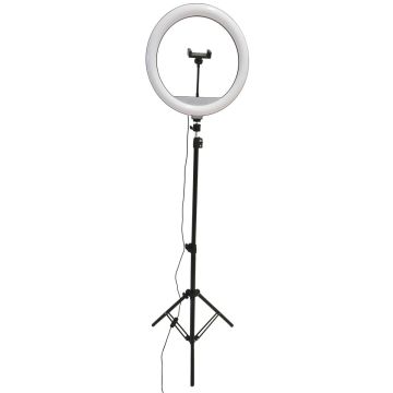 Polux SELFIE 327598 Bureau lamp 1x15W/LED 2700K-4000K-6000K 330lm IP20