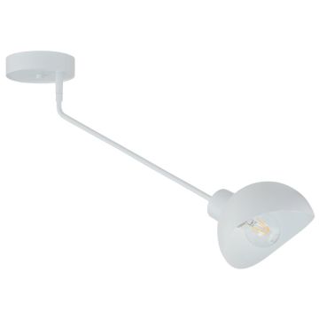 Sigma Lighting Roy 32428 Plafondlamp 1x15W/E27 IP20