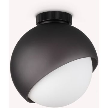 Ideal Lux BLOOM 366586 Plafondlamp 1x42W/E27 ip20