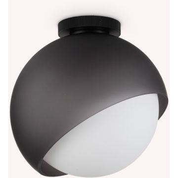 Ideal Lux BLOOM 366609 Plafondlamp 1x42W/E27 ip20