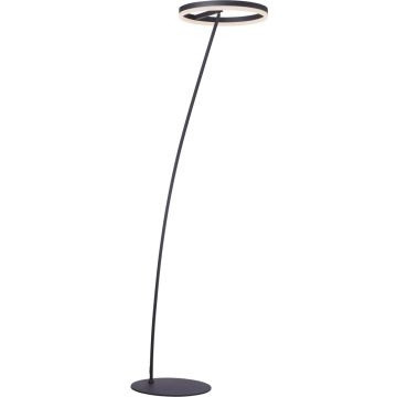 Paul Neuhaus TITUS 381-13 Staande lamp 1x23,5W/LED 2570lm ip20