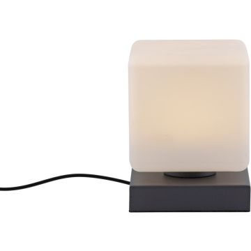 Paul Neuhaus DADOA 4036-13 Tafellamp 1x7W/LED 3000k 580lm ip20