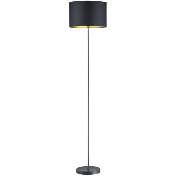 Trio HOSTEL 408200179 Staande lamp 1x60w/e27 ip20
