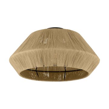 Eglo ALDERNEY 43784 Plafondlamp 1x40W/E27 IP20