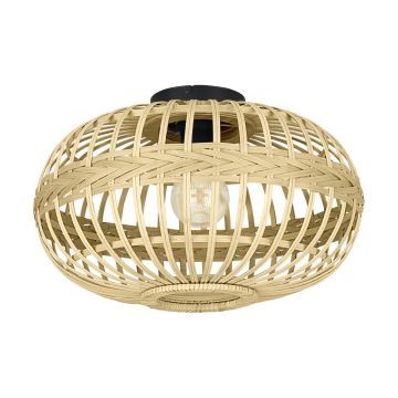 Eglo AMSFIELD 43723 Plafondlamp 1x40W/E27 IP20