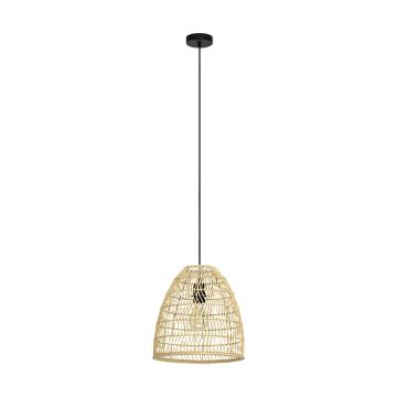 Eglo AYESGARTH 43866 Hanglamp 1x40W/E27 IP20