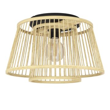 Eglo HYKEHAM 43851 Plafondlamp 1x40W/E27 ip20